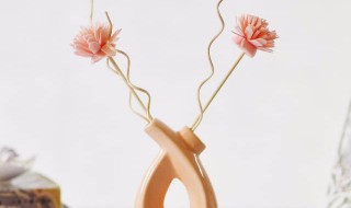 藤条香薰使用方法（藤条香薰使用方法视频）