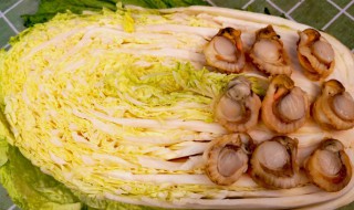 白菜炖扇贝柱怎么做 白菜炖扇贝柱怎么做才好吃