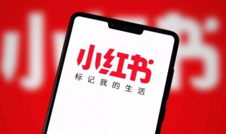 小红书可以个人开店吗（小红书可以个人入驻吗）