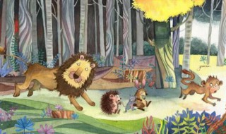 森林里的比赛的故事 森林中的比赛