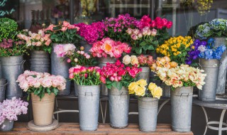 花盆不漏土技巧 花盆怎么不漏土