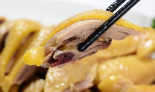 广东酱油鸡的由来 广东酱油鸡的由来简介