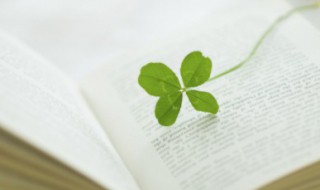 咏愁石象之翻译 咏愁阅读答案