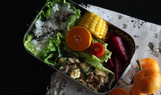 宝宝辅食牛肉茄子饭怎么做(宝宝牛肉辅食的做法大全集)