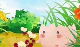 蛋壳的故事 半个蛋壳的故事