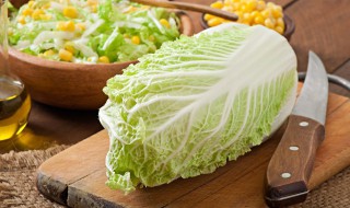 白菜不打药有什么方法防虫（白菜不打药怎么能除虫）