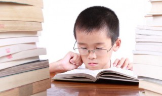 小浣熊的故事文字版 小浣熊的故事文字版下载