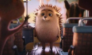 神奇的小刺猬的故事（神奇的小刺猬的故事有哪些）