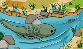 爱笑的妖怪的故事（爱笑的妖怪的故事视频）