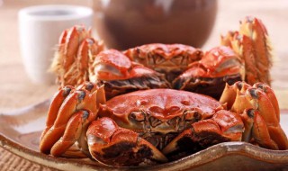 烤箱盐焗蟹怎么做（烤箱盐焗蟹怎么做的）