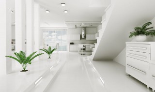 去除甲醛方法是什么 去除甲醛方法是什么