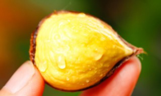 章鱼烧板栗怎么做 章鱼烧家庭做法