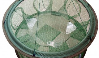 用笼子抓黄鳝教程（用笼子抓黄鳝教程图解）