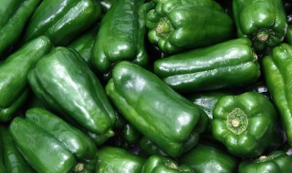 厚皮圆辣椒的腌制方法（厚皮圆辣椒的腌制方法大全）