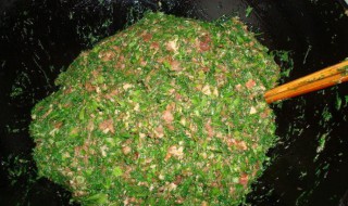 茴香猪肉炒蛋 茴香猪肉和茴香鸡蛋哪个好吃