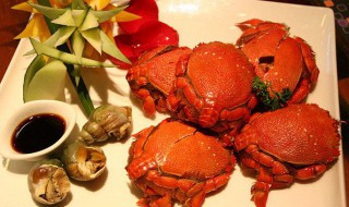 清蒸贵妃蟹（清蒸贵妃鱼怎么做好吃）