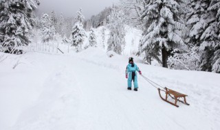 滑板和滑雪单板有什么区别 滑板和滑雪单板有什么区别呢