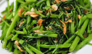 沙茶酱肉末炒空心菜(沙茶酱炒肉片)