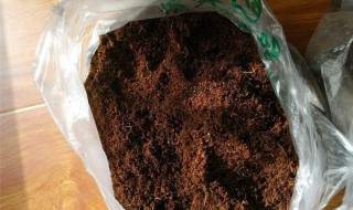 椰土怎么使用(椰土怎么使用方法乌龟)