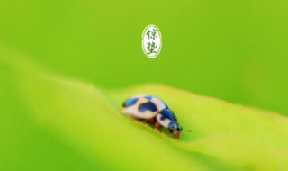 惊蛰节气的简单介绍（惊蛰节气的简单介绍20字）