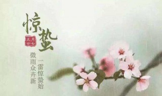 惊蛰节气祝福语（惊蛰节气祝福语大全免费）