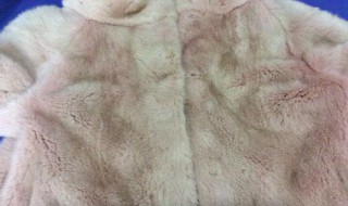 环保貂皮跟真貂皮区别 环保貂皮跟真貂皮区别图片