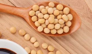 煨黄豆汤(黄豆汤大全)