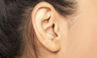 全国爱耳日宣传标语（全国爱耳日宣传标语2021）