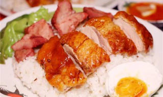 鸭肉卤饭（卤鸭饭图片大全高清图片）