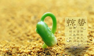二十四节气惊蛰介绍(二十四节气惊蛰简介)