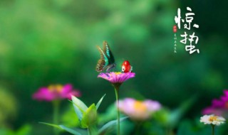 惊蛰节气是几月几号(惊蛰节气是几月份)