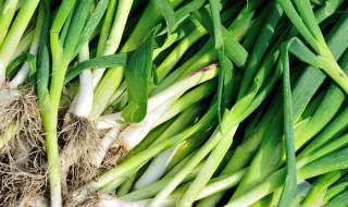 蒜苗豆干炒肉丝（蒜苗豆干肉丝的做法大全）