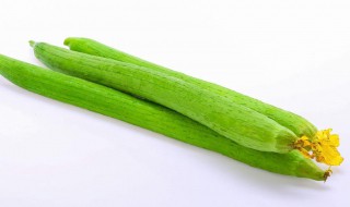 丝瓜酿番茄（丝瓜番茄汤怎么做好吃窍门）