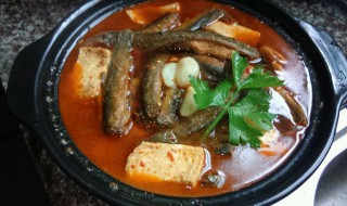 泥鳅豆腐火锅(泥鳅豆腐火锅图片)