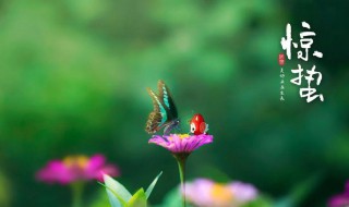 描写惊蛰的诗句（描写惊蛰的诗句有哪些）