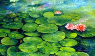 睡莲作品色彩感觉是什么（睡莲作品色彩感觉是怎样的）