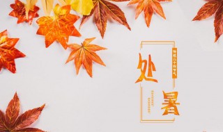 为什么处暑时节会头晕困重（处暑节气后犯困）