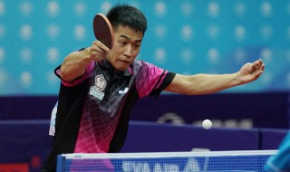江宏杰是哪国的乒乓球员 江宏杰是哪国的乒乓球员呢
