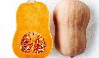 怎么挑选熟的甜南瓜 怎么挑选熟的甜南瓜呢