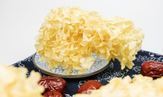 人参银耳怎么做（人参银耳怎么做好吃）