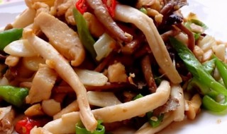 凤尾菇的做法大全(凤尾菇菜谱)