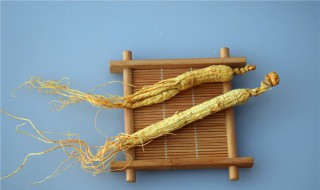 竹节参怎么吃（竹节参吃了会肚子痛吗）