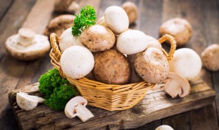 蘑菇有哪些营养价值（蘑菇蘑菇的营养价值）