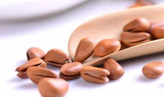 松籽的作用与功效 松籽的副作用