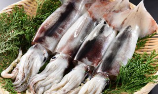 墨鱼骨有哪些妙用方法(墨鱼骨有哪些妙用方法视频)