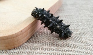 海参的食用方法是什么? 海参的食用方法有哪些