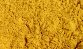 生蒲黄的功效与作用是什么 生蒲黄的功效与作用及禁忌的功效与作用