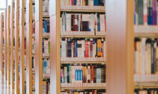 言人人殊成语解释（言人人殊成语解释）