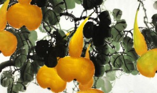 依葫芦画瓢成语解释（照葫芦画瓢 成语）