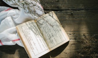 英雄气短成语解释(英雄气短成语解释大全)